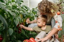 Tips para tener un huerto casero en tu piso