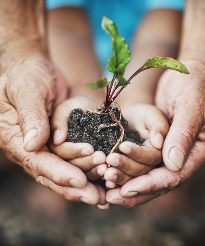 Inversión Sostenible